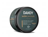 Vosk pre mokr vzhad vlasov Dandy Water Pomade - 100 ml