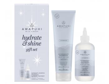 Darekov sada pre hydratciu a lesk vlasov Paul Mitchell Awapuhi Wild Ginger Hydrate & Shine Gift Set