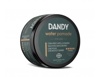 Vosk pre mokr vzhad vlasov Dandy Water Pomade - 100 ml