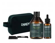 Rad pnskej kozmetiky pre starostlivos a styling vlasov a fzov Dandy Beard & Hair For Men