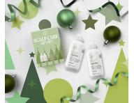 Darekov sada pre plnie vlasy Paul Mitchell Tea Tree Scalp Care Gift Set